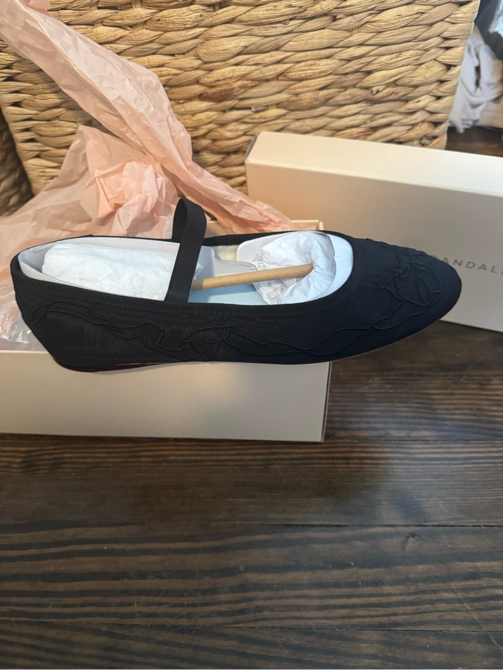 Salter House x Loeffler Randall Leonie Ballet Flats NIB